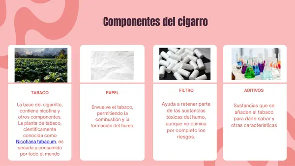 El cigarro y sus efectos en la salud