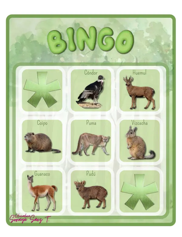 Bingo animales chilenos