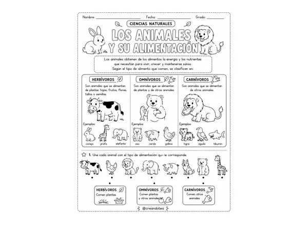 Guía ciencias naturales clasificación de los animales 