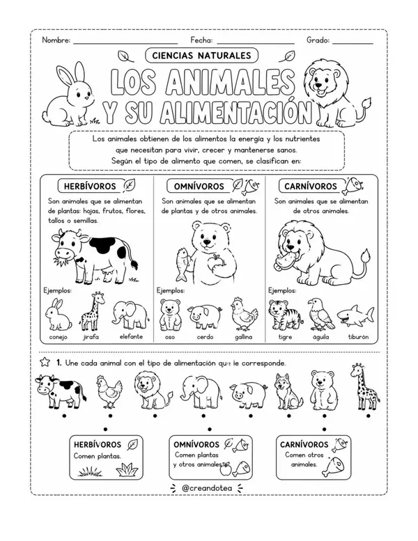 Guía ciencias naturales clasificación de los animales 