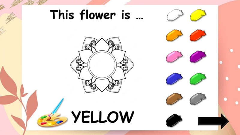 colores 3.png