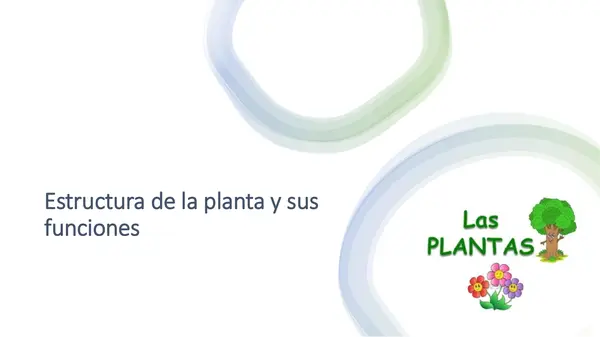 Estructura y funciones de las plantas