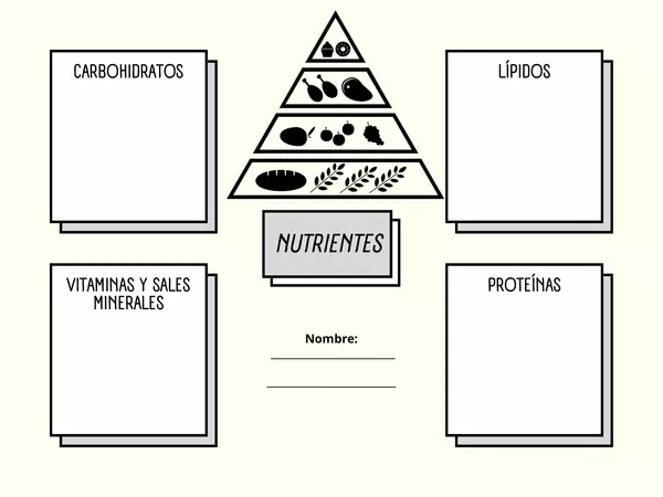 Nutrientes