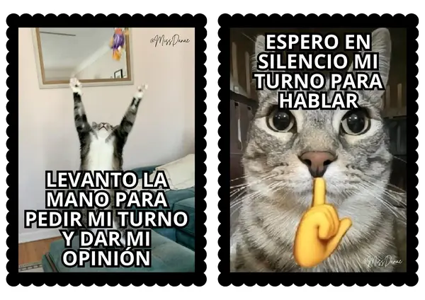 NORMAS PARA TU SALA DE CLASE VERSION 🤹MEMES🤹
