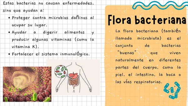 Barreras de defensa (primarias, secundarias y terciarias)