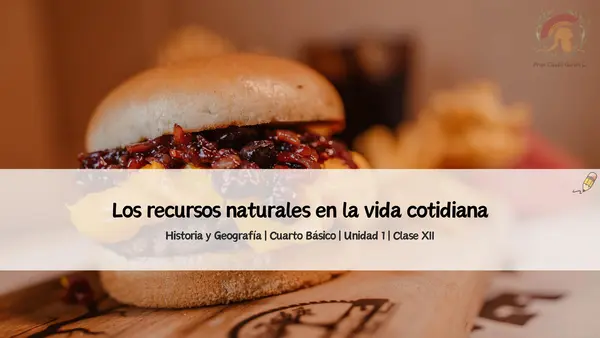 Los recursos naturales en la vida cotidiana | Cuarto Básico 