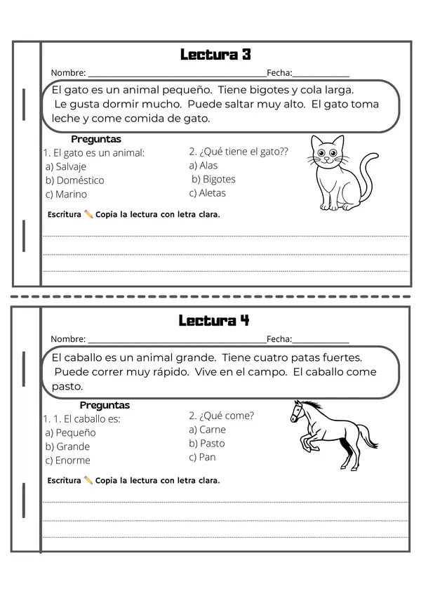Mini libro comprensión lectora cortas Lenguaje segundo básico