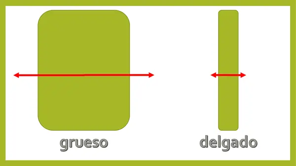grueso-delgado
