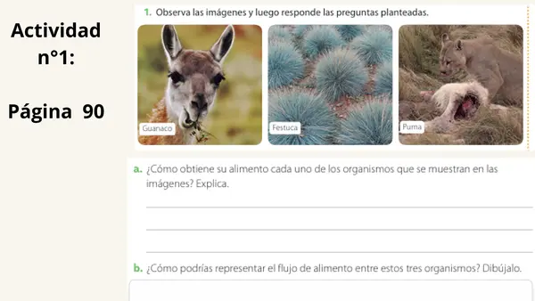 Flujo de materia y energía