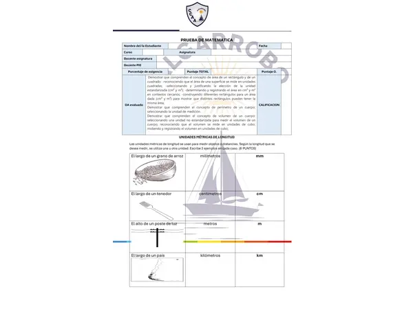 PRUEBA DE MATEMÁTICAS: PERÍMETRO, ÁREA Y VOLUMEN