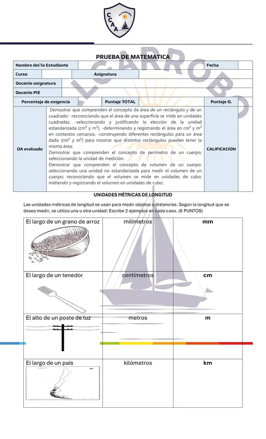 PRUEBA DE MATEMÁTICAS: PERÍMETRO, ÁREA Y VOLUMEN