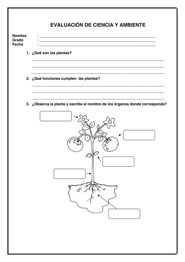 EXAMEN 13 - CIENCIA III PARTE