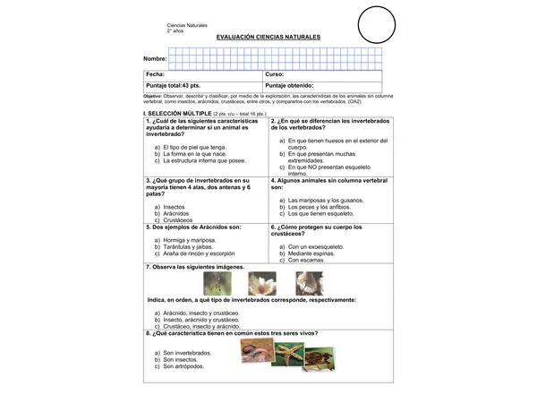 Evaluación ciencias naturales, los invertebrados