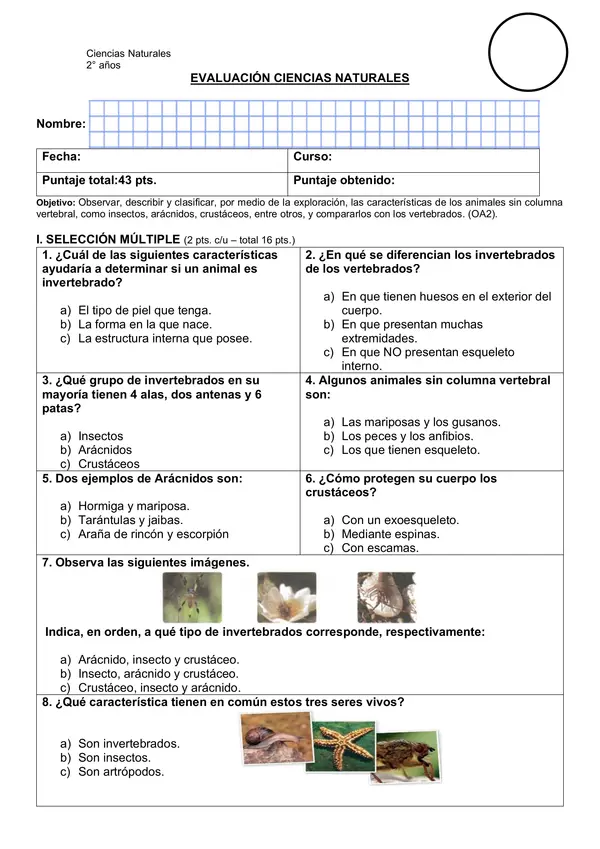 Evaluación ciencias naturales, los invertebrados