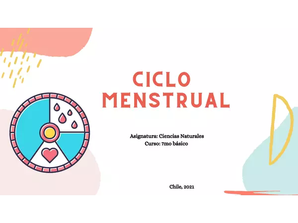 Ciclo menstrual