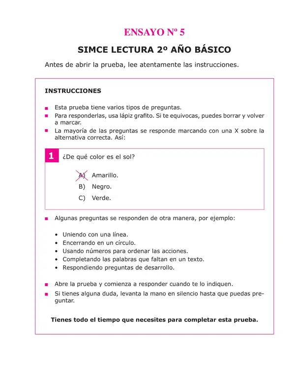 Ensayo SIMCE lenguaje 2° año básico