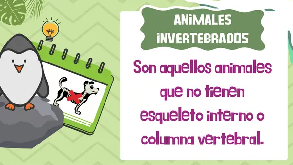 Animales invertebrados