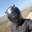 Nohe Galicia - @nohe.galicia