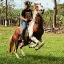 Joseph Falcon - @joseph.falcon