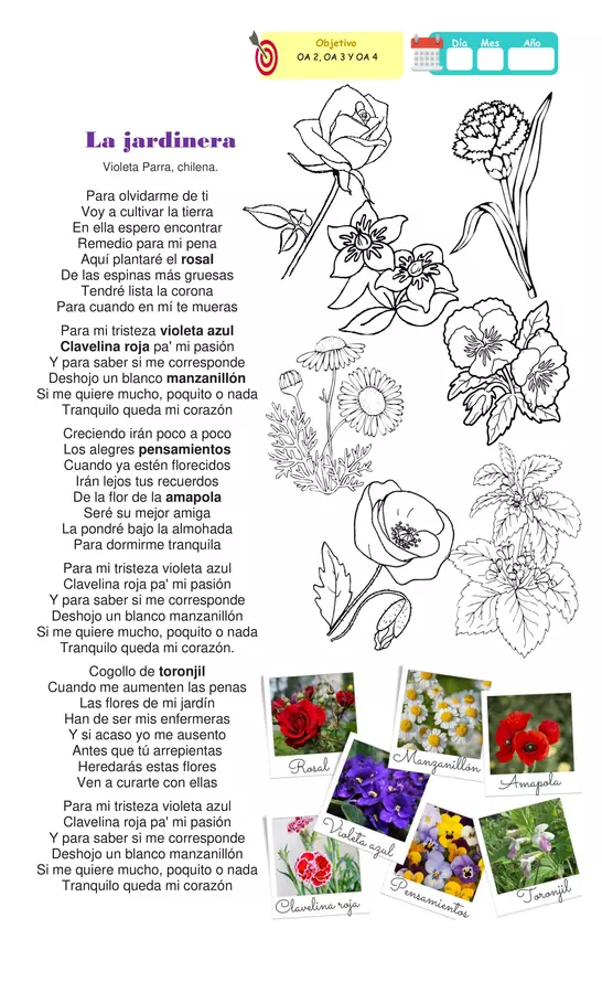 Guía La jardinera Violeta Parra | profe.social