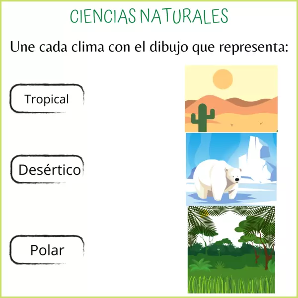 Ciencias Naturales: Fichas para 4º de Primaria.