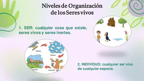 Niveles de organización de los seres vivos