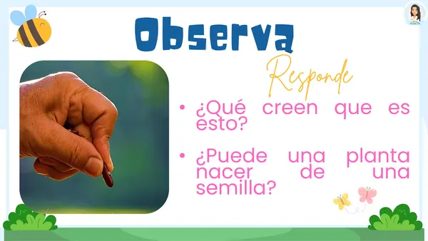 Ciclo de vida de las plantas