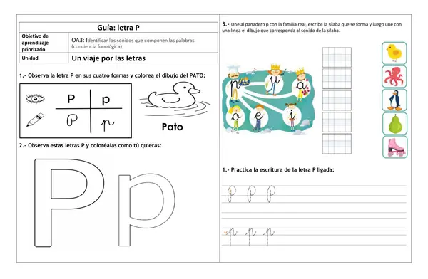 LETRA P actividades