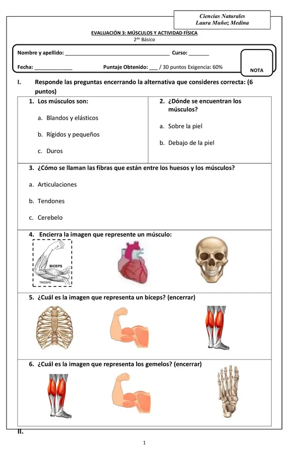 Evaluación Ciencias (músculos, actividad física)