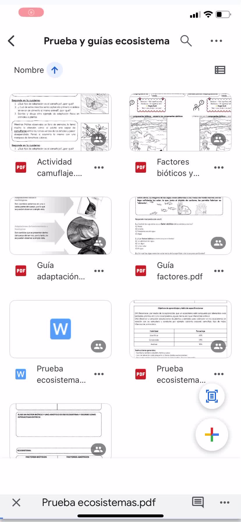 Pack Prueba y guías: ecosistemas y adaptaciones 4to básico