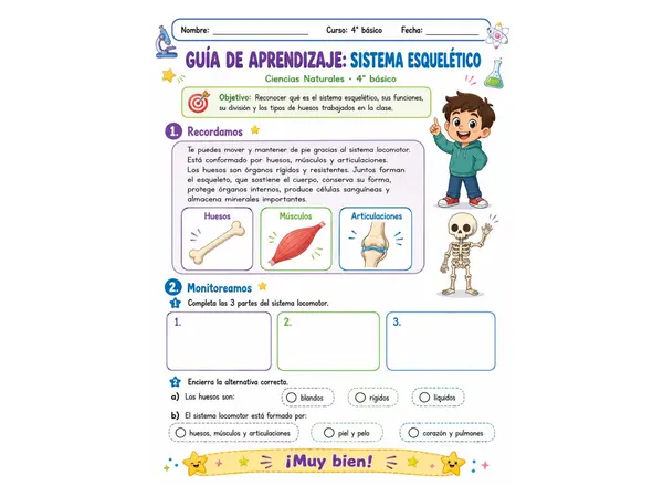 Sistema esquelético