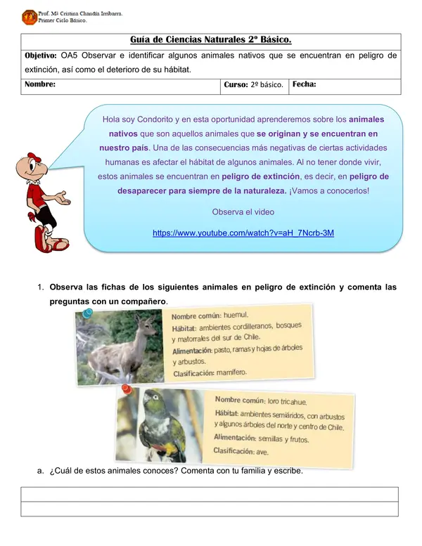 Guía "Animales nativos de Chile".