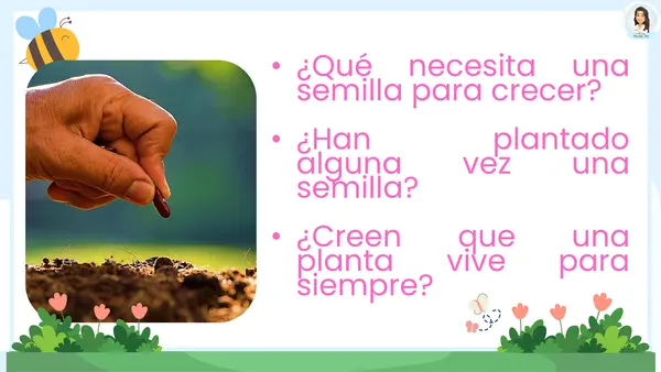 Ciclo de vida de las plantas