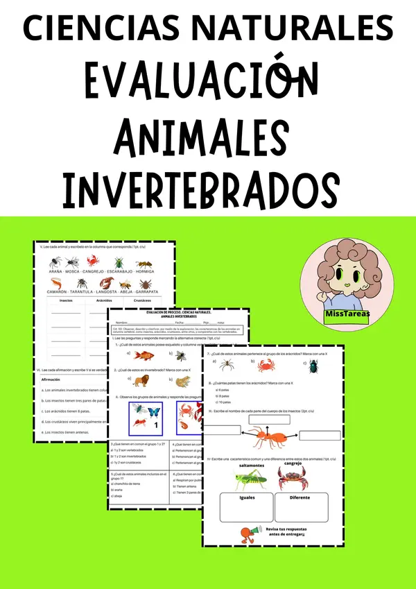  Evaluación de Ciencias Naturales: Animales Invertebrados - Insectos, Arácnidos y más