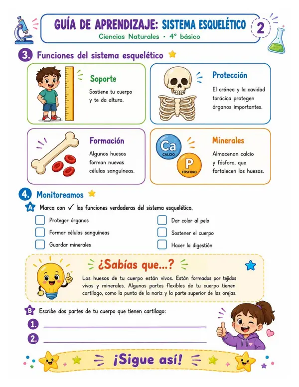 Sistema esquelético