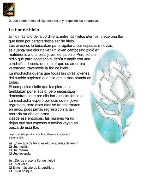 Prueba psicopedagógica informal de Lenguaje 3°