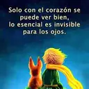 Pamela   Rodriguez - @pame.rodriguez32