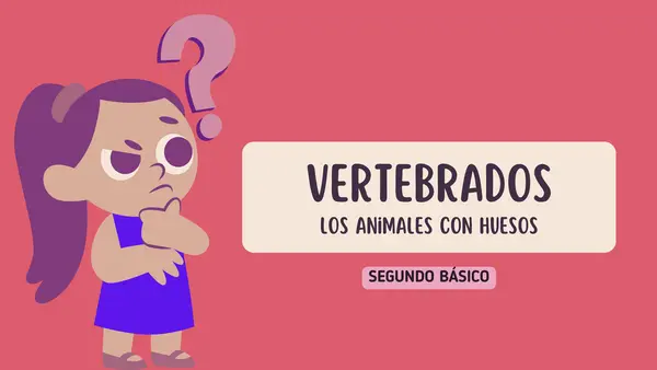 ANIMALES VERTEBRADOS (segundo básico)