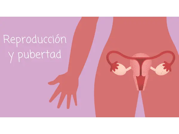 Presentacion Power point/canva Unidad 1 sexto básico Sexualidad