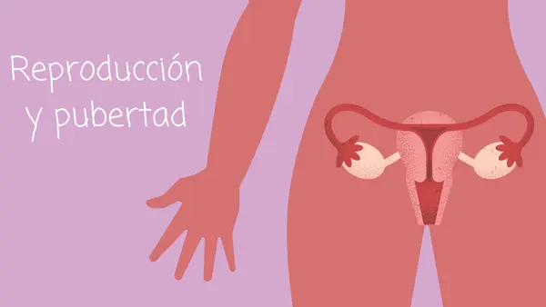 Presentacion Power point/canva Unidad 1 sexto básico Sexualidad