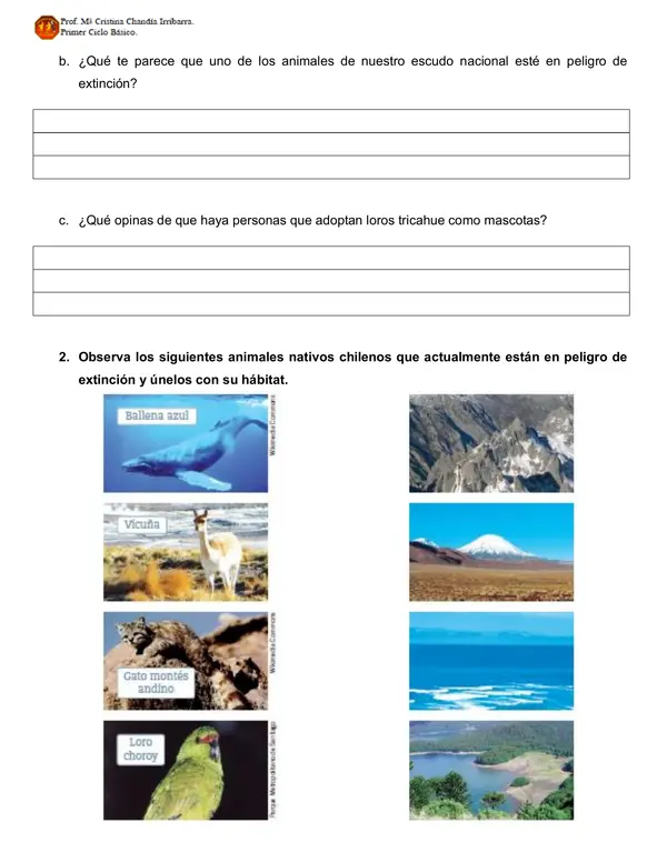 Guía "Animales nativos de Chile".