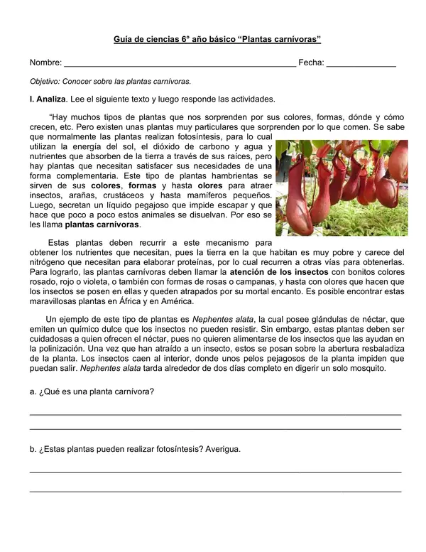 Guía artículo informativo "Plantas carnívoras" 6° año