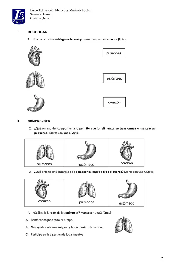 Prueba de órganos vitales