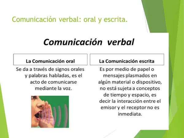 PRESENTACION  Lenguaje Segundo Basico, comunicacion Verbal y No verbal , 17 laminas