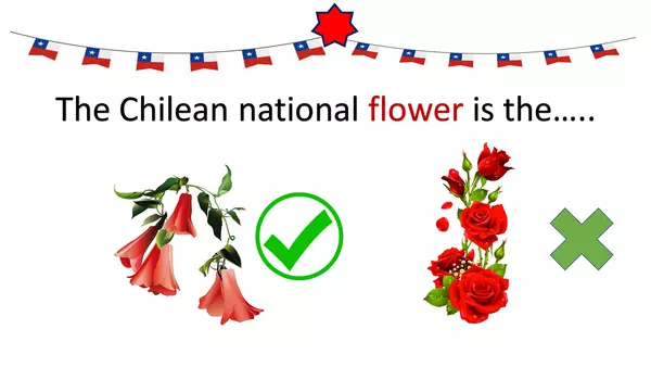 Chilean National Festivities Ruleta