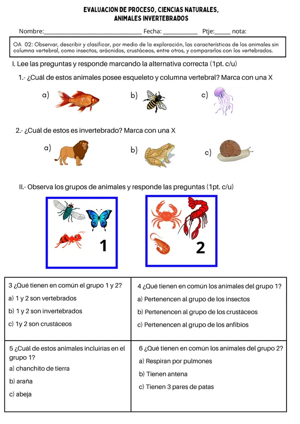  Evaluación de Ciencias Naturales: Animales Invertebrados - Insectos, Arácnidos y más