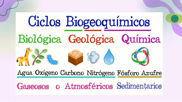 Niveles de organización de los seres vivos