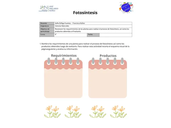 Actividades de fotosíntesis