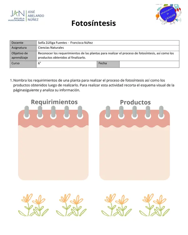 Actividades de fotosíntesis