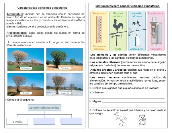 Guía resumen 2° año "Tiempo atmosférico"